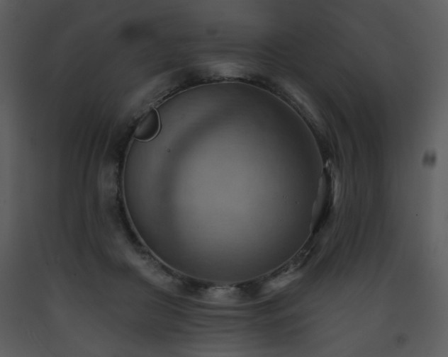 X0000090630410200707171452