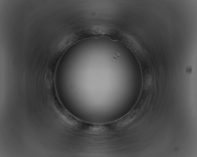 X0000090630414200707171452