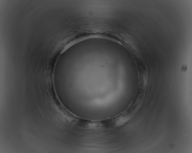 X0000090630415200707171452