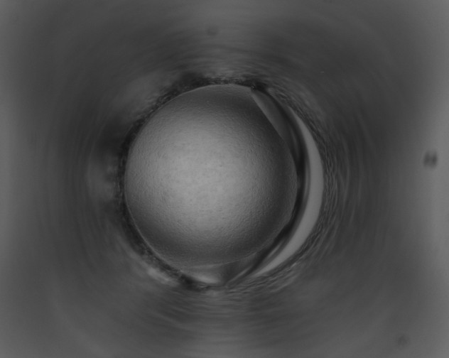 X0000090630416200707171452