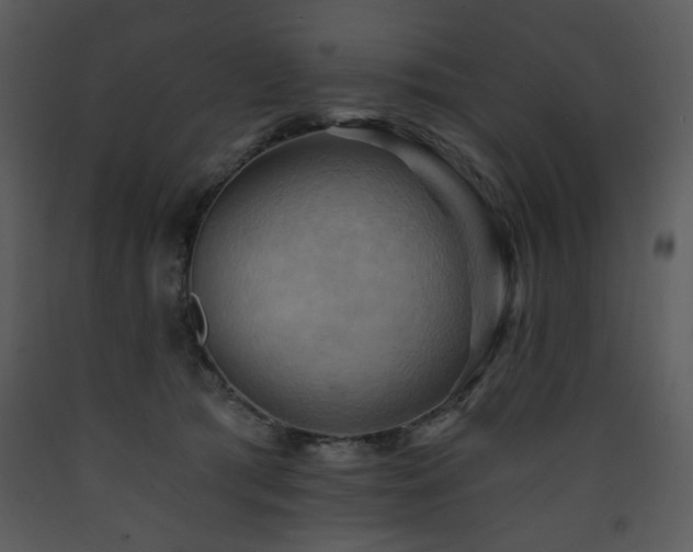 X0000090630417200707171452