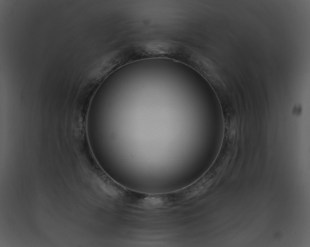 X0000090630418200707171452