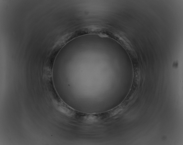 X0000090630419200707171452