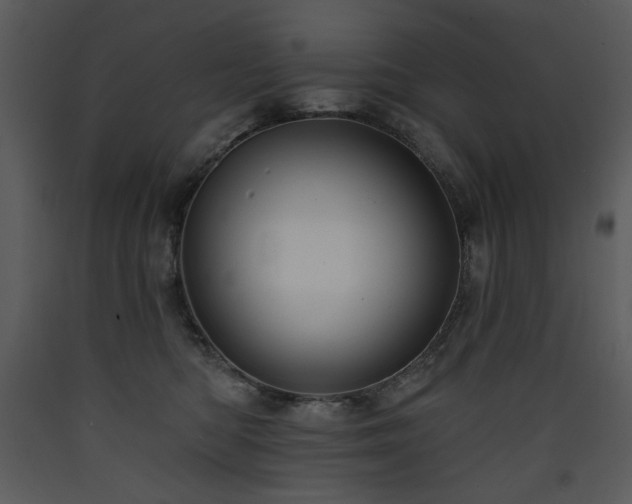 X0000090630422200707171452
