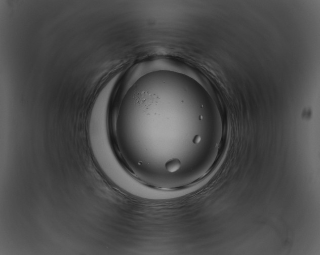 X0000090630423200707171452
