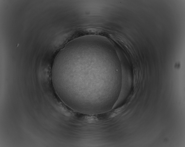 X0000090630424200707171452