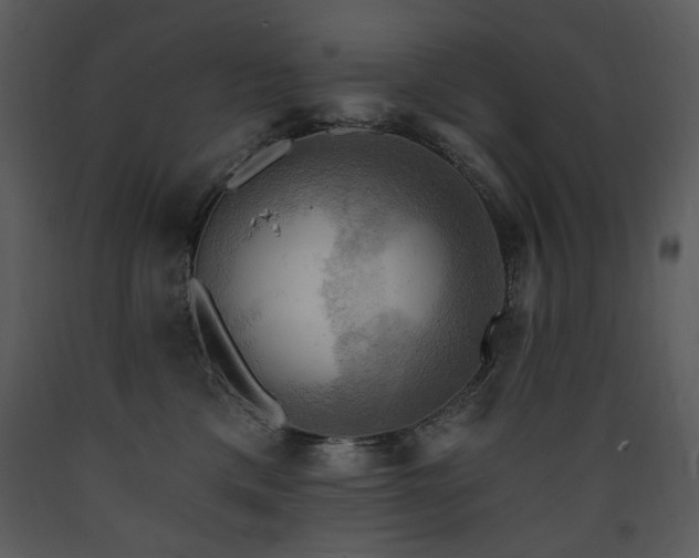 X0000090630425200707171452