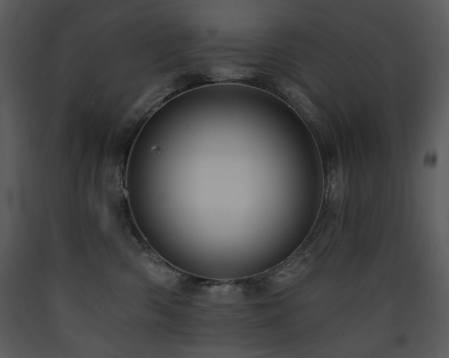 X0000090630426200707171452