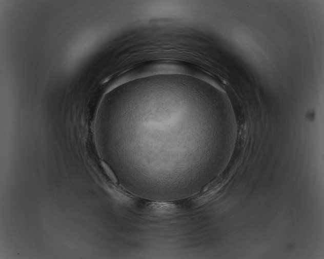 X0000090630429200707171452