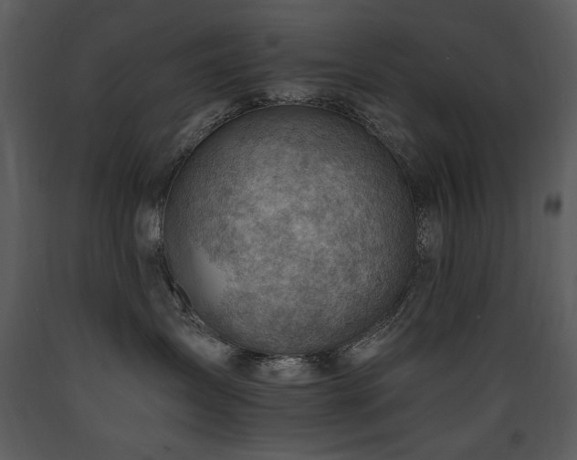X0000090630431200707171452