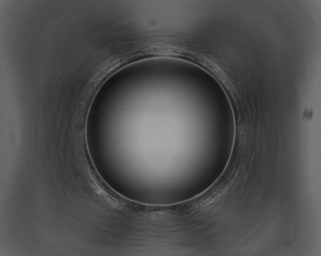 X0000090630433200707171451