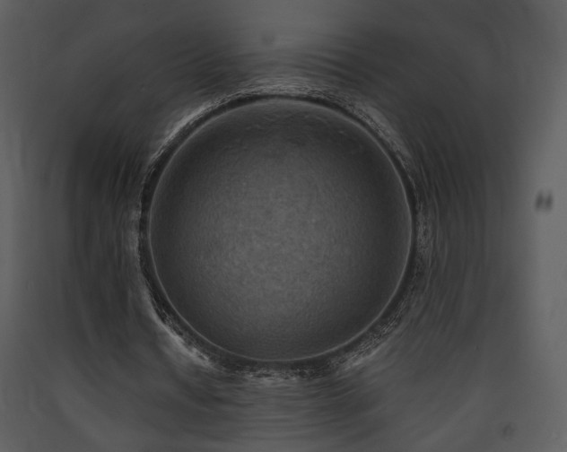 X0000090630434200707171451