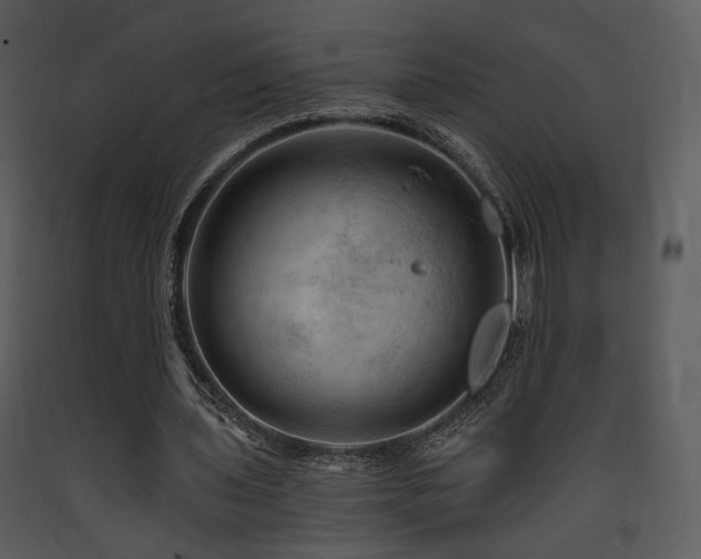 X0000090630435200707171451