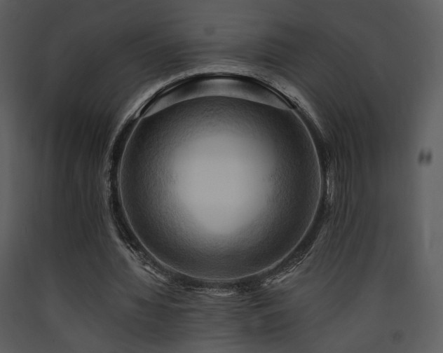 X0000090630436200707171451