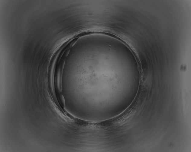 X0000090630437200707171451