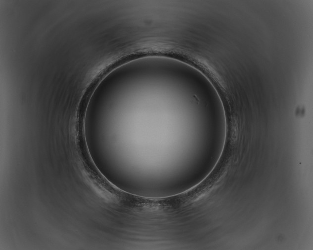 X0000090630439200707171451