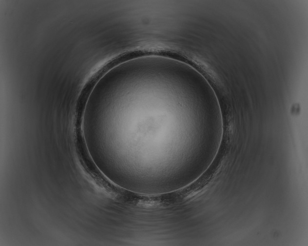 X0000090630440200707171451
