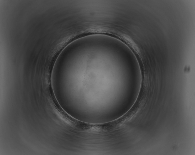 X0000090630441200707171451