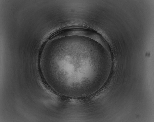 X0000090630442200707171451