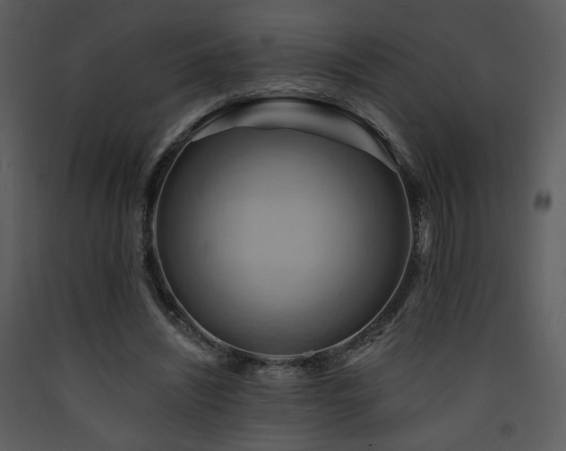 X0000090630444200707171451