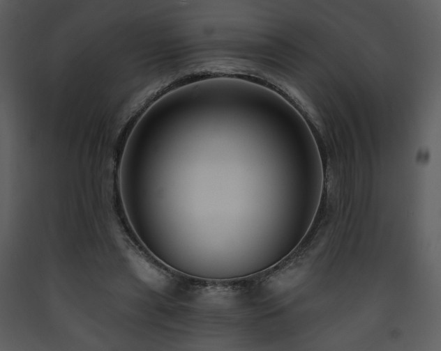 X0000090630445200707171451