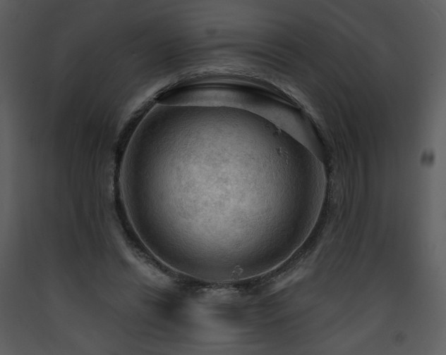 X0000090630446200707171451