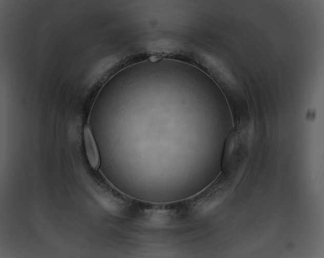X0000090630448200707171451