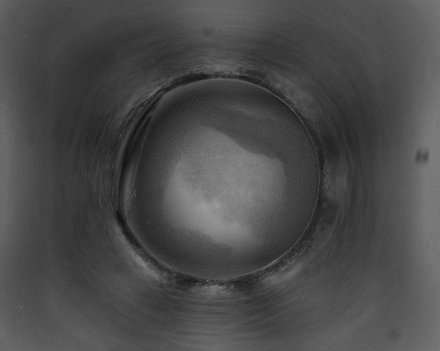 X0000090630449200707171451