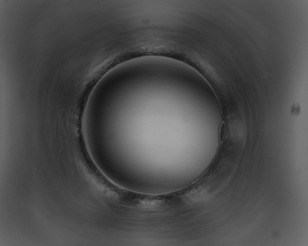 X0000090630450200707171451