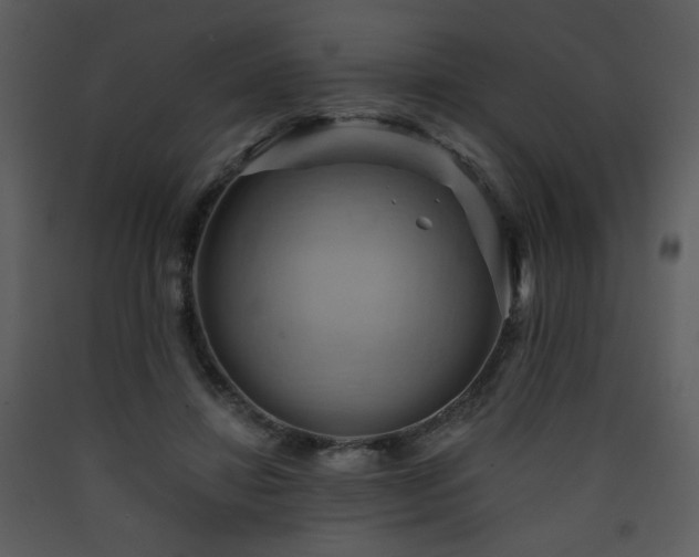 X0000090630452200707171451