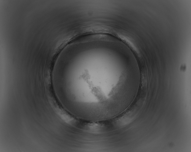 X0000090630453200707171451