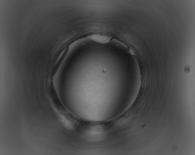 X0000090630456200707171451