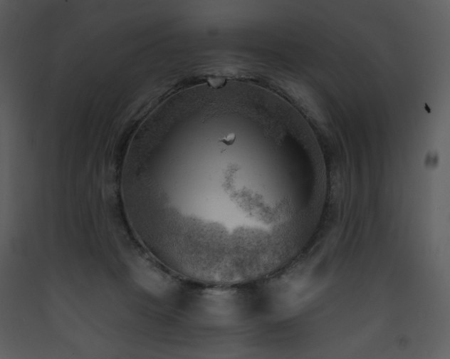 X0000090630457200707171451