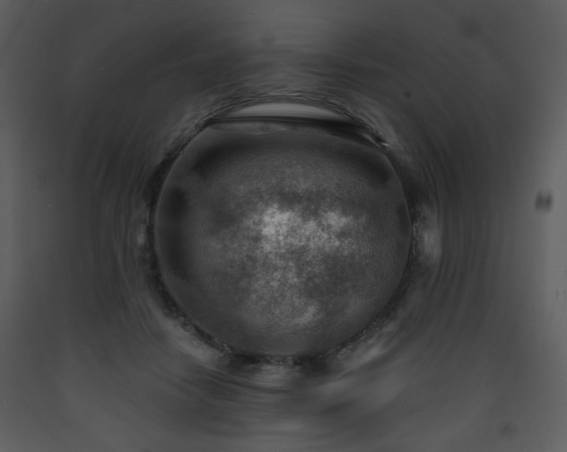 X0000090630458200707171451
