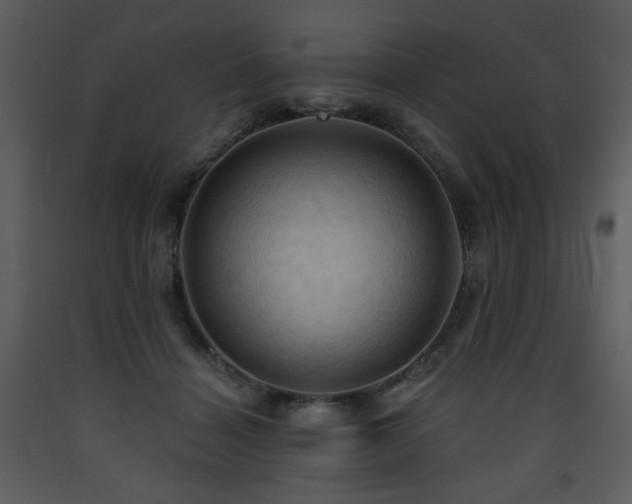 X0000090630460200707171451