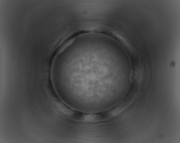 X0000090630461200707171451
