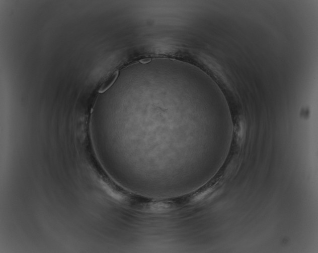 X0000090630462200707171451