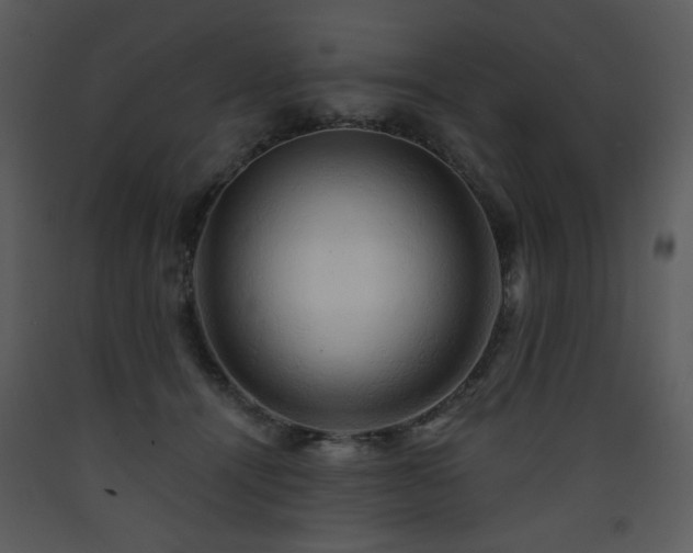 X0000090630464200707171451