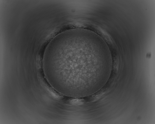 X0000090630465200707171451