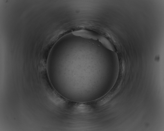 X0000090630467200707171451