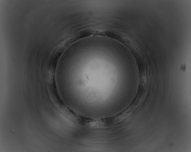 X0000090630468200707171451
