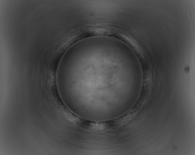 X0000090630469200707171451