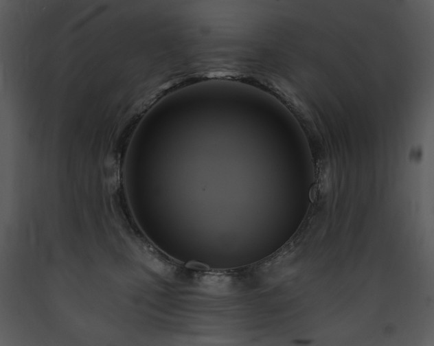 X0000090630471200707171451