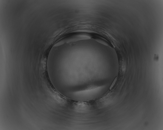 X0000090630475200707171451