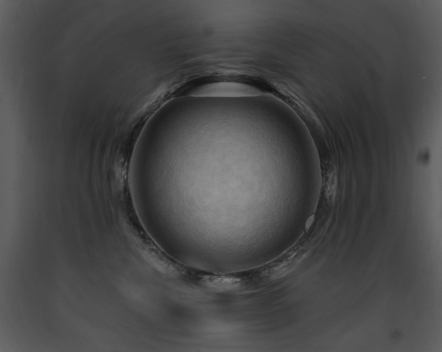 X0000090630476200707171451