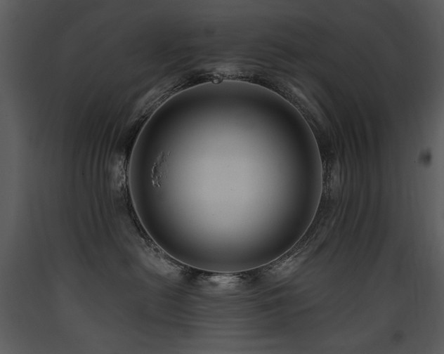 X0000090630478200707171451
