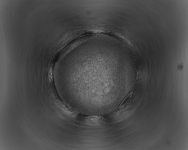 X0000090630479200707171451