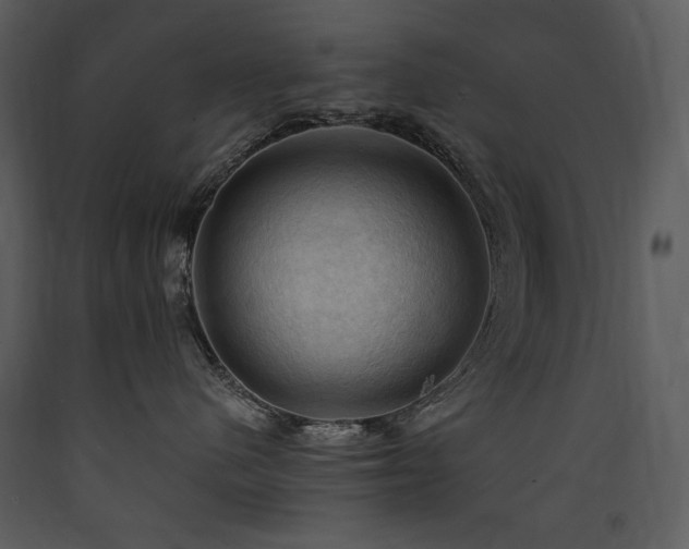 X0000090630480200707171451