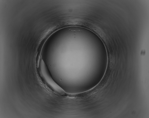 X0000090630482200707171451