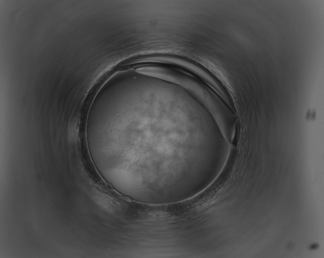 X0000090630483200707171451